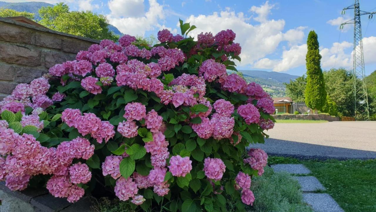 Ferienwohnungen Koflerhof Castelrotto Extérieur photo