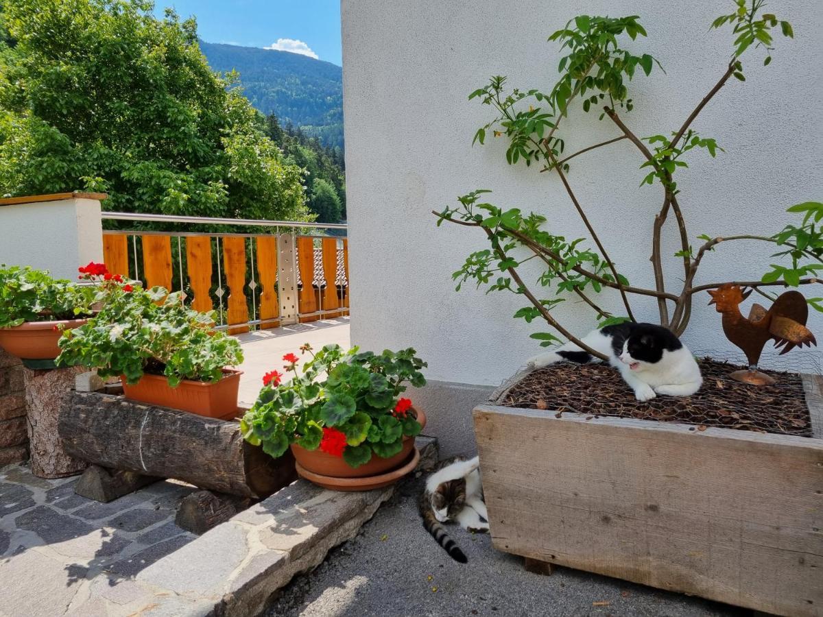 Ferienwohnungen Koflerhof Castelrotto Extérieur photo